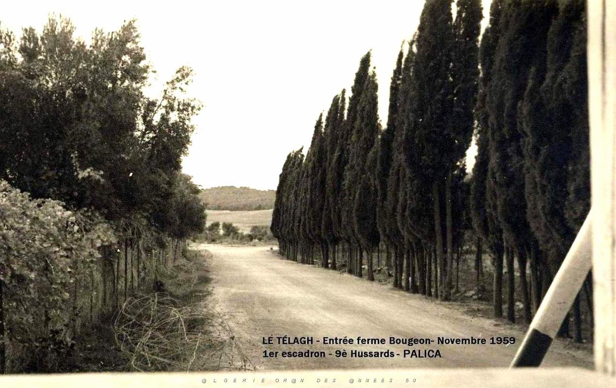 Palica - Le Telagh 002.JPG